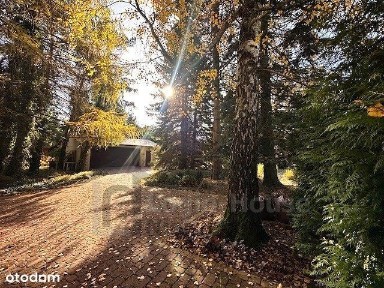 Dom w starodrzewiu pod Lublinem