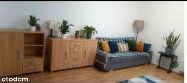 Wynajmę segment w Czarnym Lesie z nowym poddaszem.Grodzisk Mazowiecki.