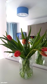 ul. Okopowa, Kołobrzeg, kołobrzeski, zachodniopomorskie