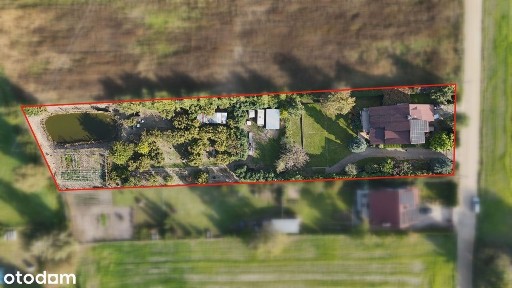 Dom 233 m² z dużą działką 3544 m² i pięknym,w pełni obsadzonym ogrodem