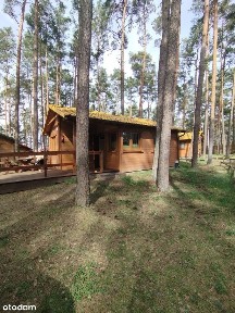 Domek letniskowy nad jeziorem w miejscowości Borsk