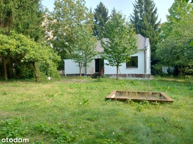 Dom z działką ogrodową w centrum Sandomierza