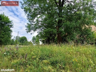 Działka w Kaczorowie na sprzedaż
