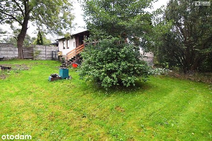 Dom na dużej działce w Kurowie, 19a