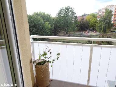 Kawalerka 34 m2 z osobną kuchnią w przestrzennej, zielonej okolicy