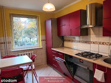 Do wynajęcia od zaraz!