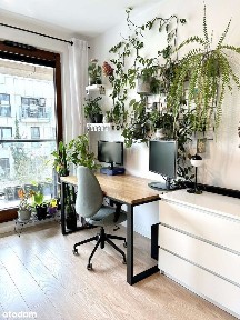 ul. abp. Józefa Teodorowicza, Błonia Wilanowskie, Wilanów, Warszawa, mazowieckie