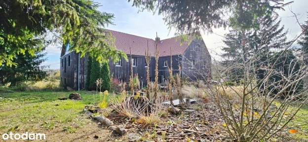 Poniemiecki dom z dochodowym biznesem!