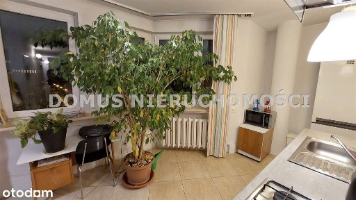 Mieszkanie do wynajęcia w centrum Łodzi