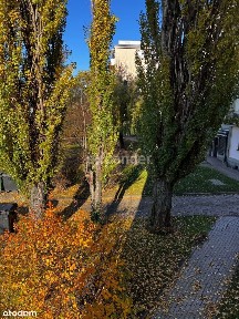 Mieszkanie 3 pokojowe 1 piętro