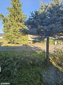 Mieszkanie w szeregowcu, garaż, ogród, k. Kiekrza