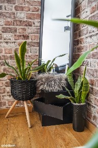 Mieszkanie w centrum miasta gotowe do wprowadzenia