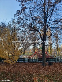 ul. Starej Baśni, Stare Bielany, Bielany, Warszawa, mazowieckie