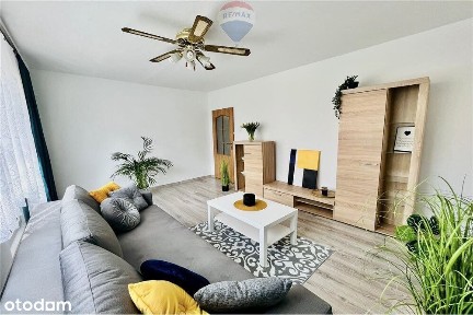 Komfortowe 3 pokoje do wynajęcia!