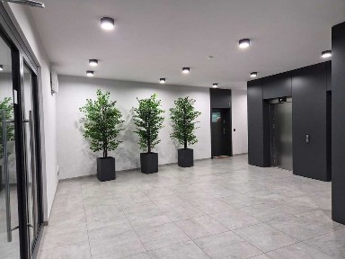 Zachodniopomorskie, Szczecin, Centrum