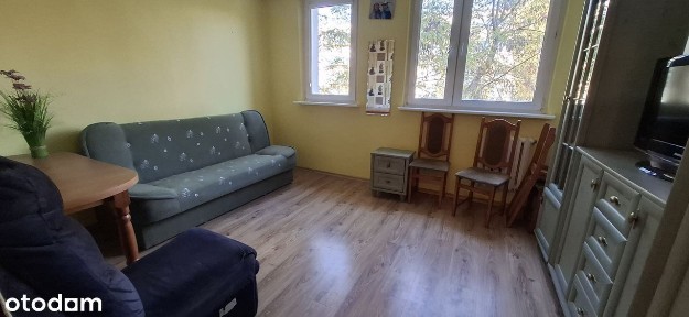 Kawalerka na wynajem-Os. Piastowskie