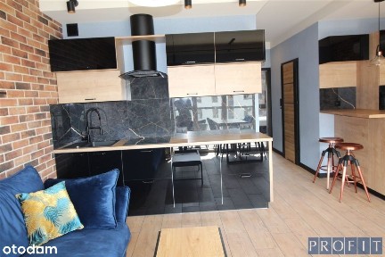 Załęska Hałda-Brynów, Katowice, śląskie