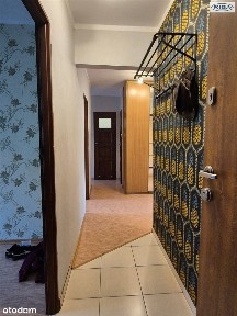 Bardzo wygodne M-5 do wynajęcia - ul. Grunwaldzka