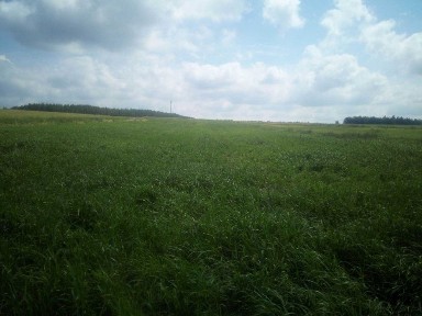 Dom + 2 Działki Szerokie Ranczo 1Ha Na Uboczu Cisza Spokój Lub Zamiana