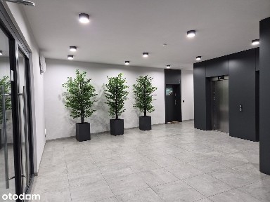 Centrum, kawalerka 27 mkw, ulica Miedziana 4.