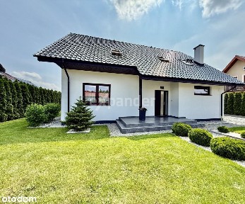 Południowy Ogród 1000 Mkw|osobny Garaż 132 Mkw