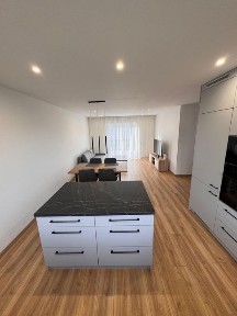 Dom na wynajem, nowoczesny, wyposażony - Warta Bol.