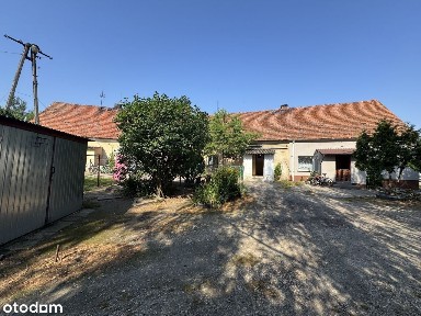 Lokal mieszkalny - sprzedaż przez syndyka