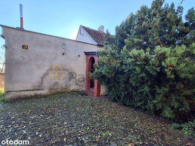 Dom 3 pokoje, ładna działka Dalabuszki k/Gostynia