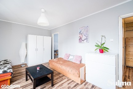 2 pokojowe/ul. Łokietka/piwnica/2800 zł total