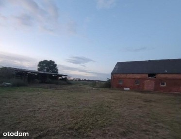 Sprzedam siedlisko, ziemia 1h