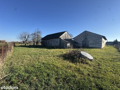 Do wynajęcia Dom oraz budynki gospodarcze w Samogoszczy