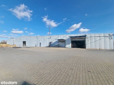 Brzeziny, brzeziński, łódzkie