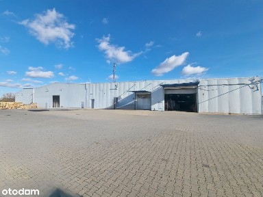 Brzeziny, brzeziński, łódzkie