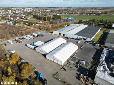 Brzeziny, brzeziński, łódzkie