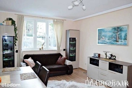 ul. Toruńska, Działki Leśne, Gdynia, pomorskie