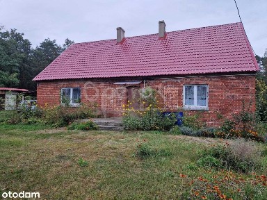 Dom wolnostojący przy lesie