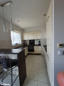 ul. Johna Baildona, Dąb, Katowice, śląskie