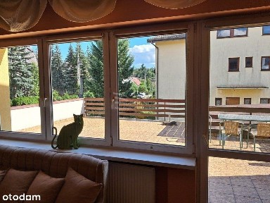 ul. Żegańska, Międzylesie, Wawer, Warszawa, mazowieckie