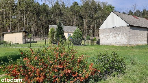 Dom wraz z Lasem - PIĘKNE SPOKOJNE OTOCZENIE NATURY KAMPINOSKI PARK