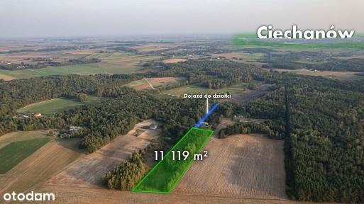 Działka z lasem | Sprzedaż | 1,11 ha | Trzcianka
