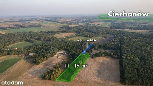 Działka z lasem i WZ, Sprzedaż 1,11 ha, Trzcianka
