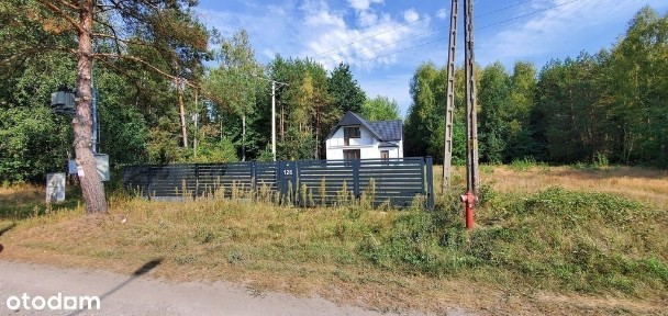 Zakrzewska Wola, Zakrzew, radomski, mazowieckie