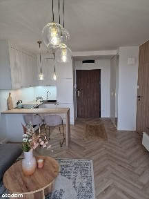 ul. Knyszyńska, Antoniuk, Białystok, podlaskie