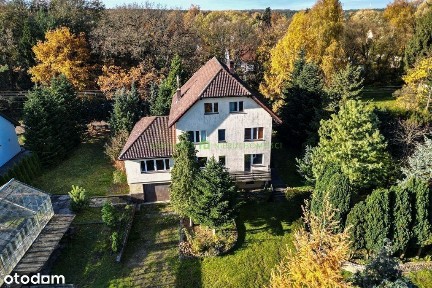Dom wolnostojący z piękną działką w Płoni