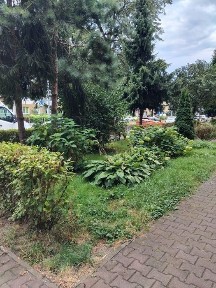 3M Batorego NS - świetna lokalizacja