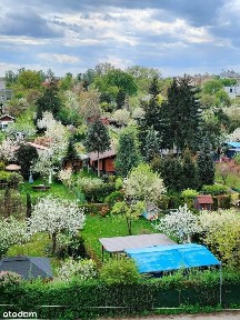 ul. Skrzyneckiego, Tysiąclecie, Częstochowa, śląskie