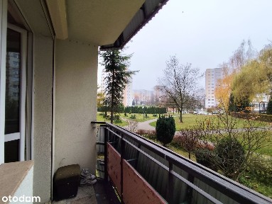 ul. Marcina Radockiego, Piotrowice-Ochojec, Katowice, śląskie