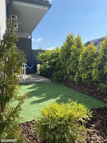 3-pokojowe, od 01.02.2026, dzieci TAK, bezczynszowe, bez pośredników