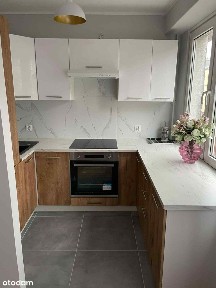 Mieszkanie do wynajęcia w centrum Torunia