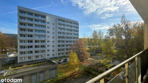 ul. Ziołowa, Piotrowice-Ochojec, Katowice, śląskie